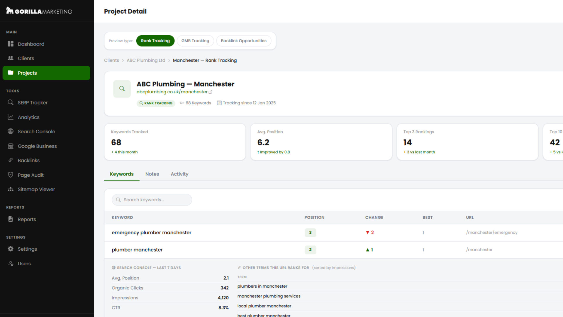 Gorilla Reports - Google Ads dashboard showing campaign spend, conversions and ROAS
